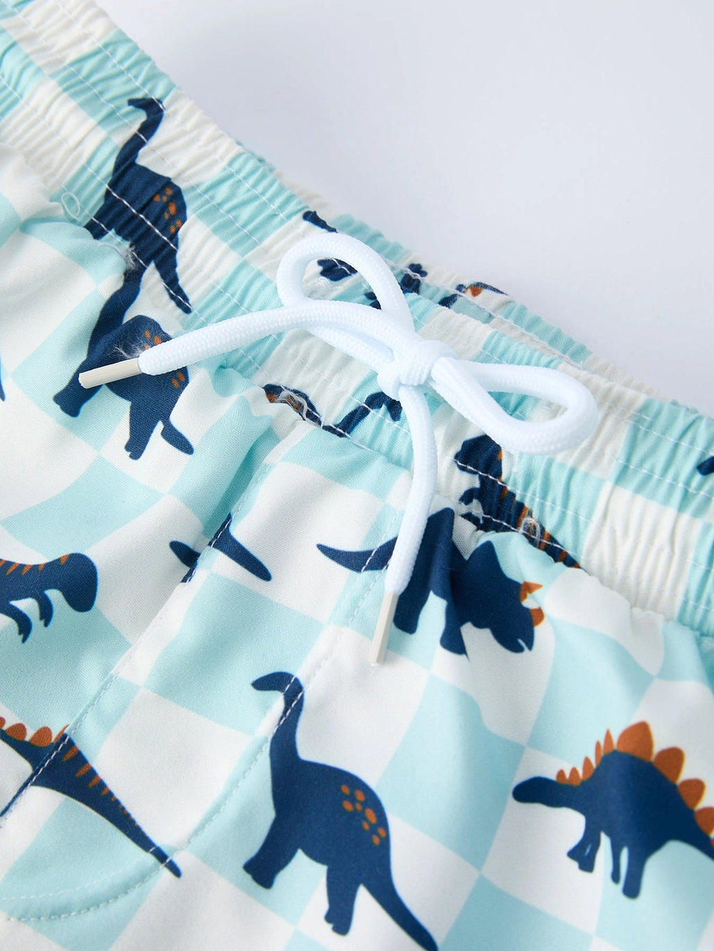 Dinosaur Plaid Boys Two Piece Swimsuit Long Sleeve