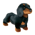 Spats Black and Tan Dachsund