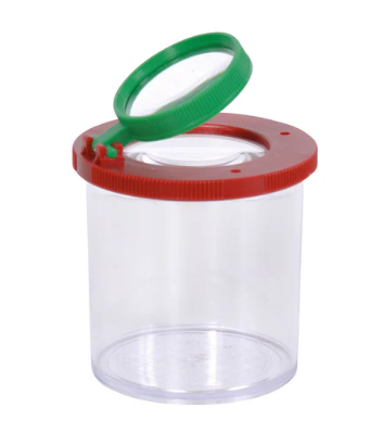 Le Botaniste - Insect box
