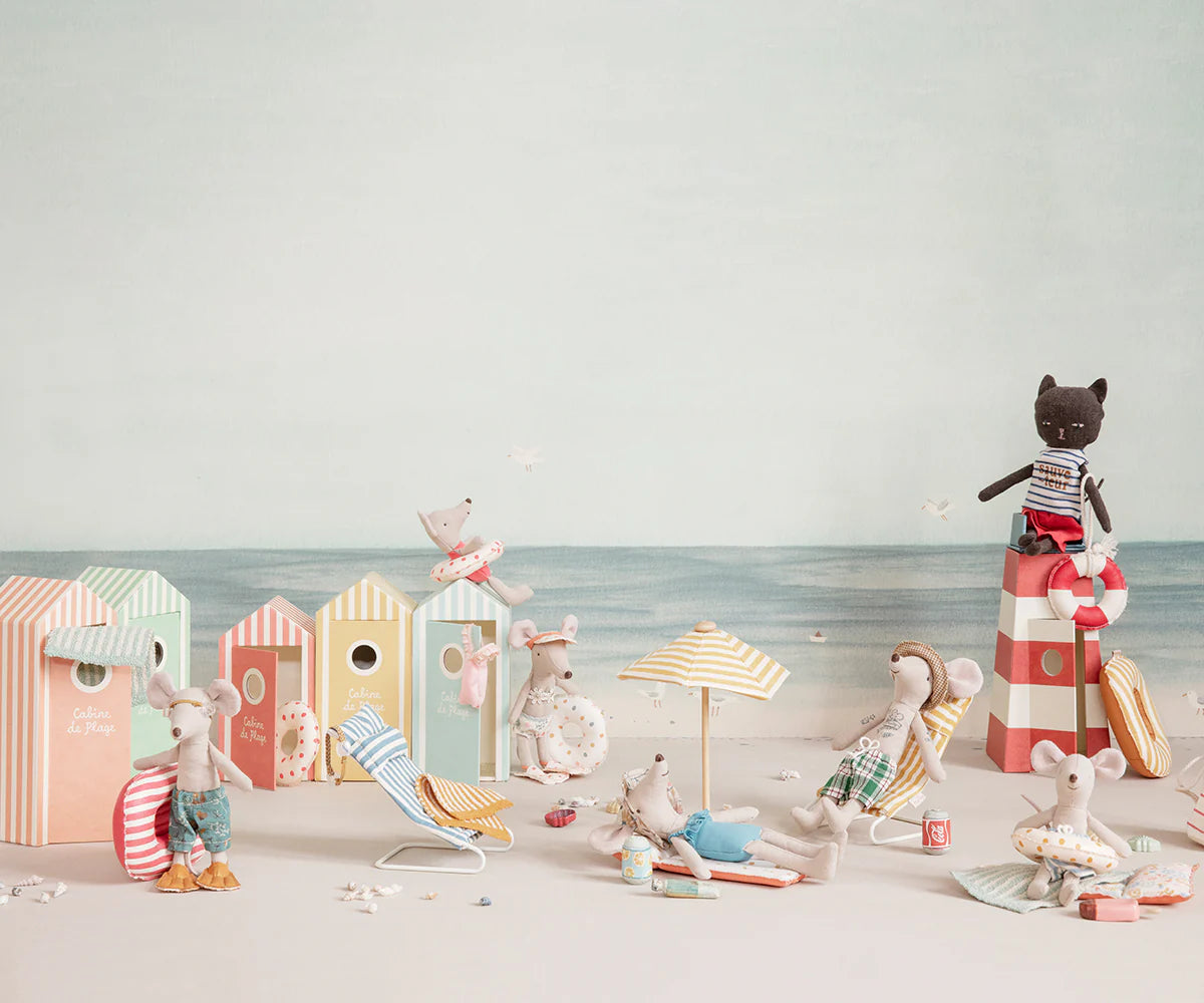 Beach mice, Little brother in Cabin