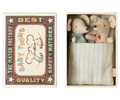 Twins, Baby mice in matchbox