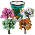 Crystal Growing Seasons - Craft Science Kit