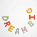 Felt Dream Big Banner