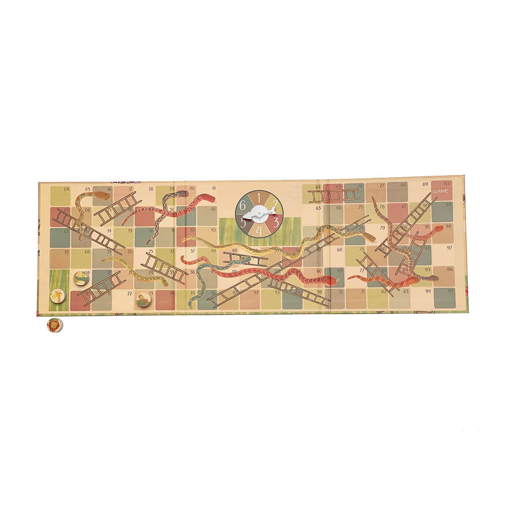 Magnetic Snakes & Ladders Game
