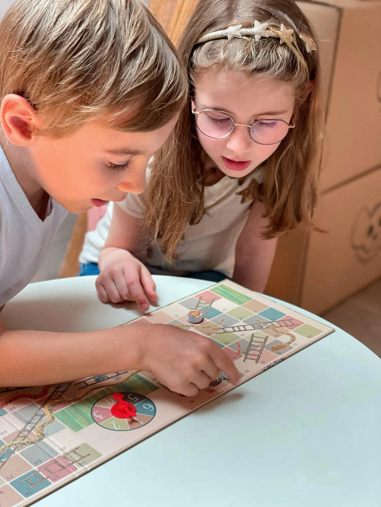 Magnetic Snakes & Ladders Game