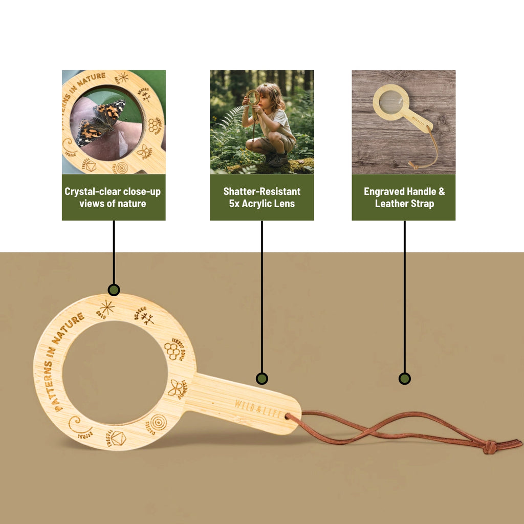 Kids Magnifying Glass