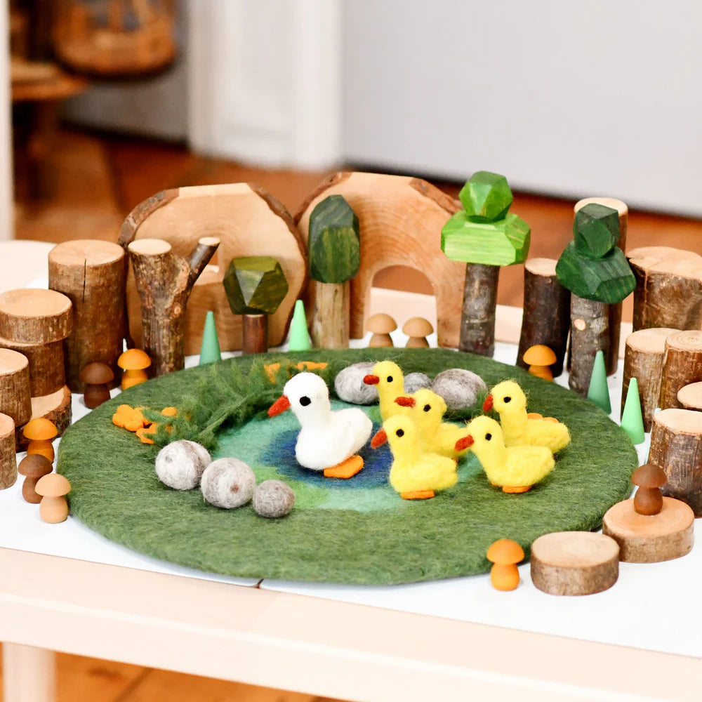 Duck Pond Wool Play Mat