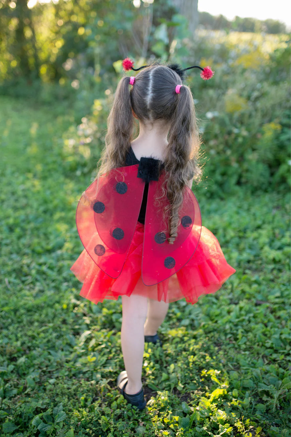Ladybug Costume