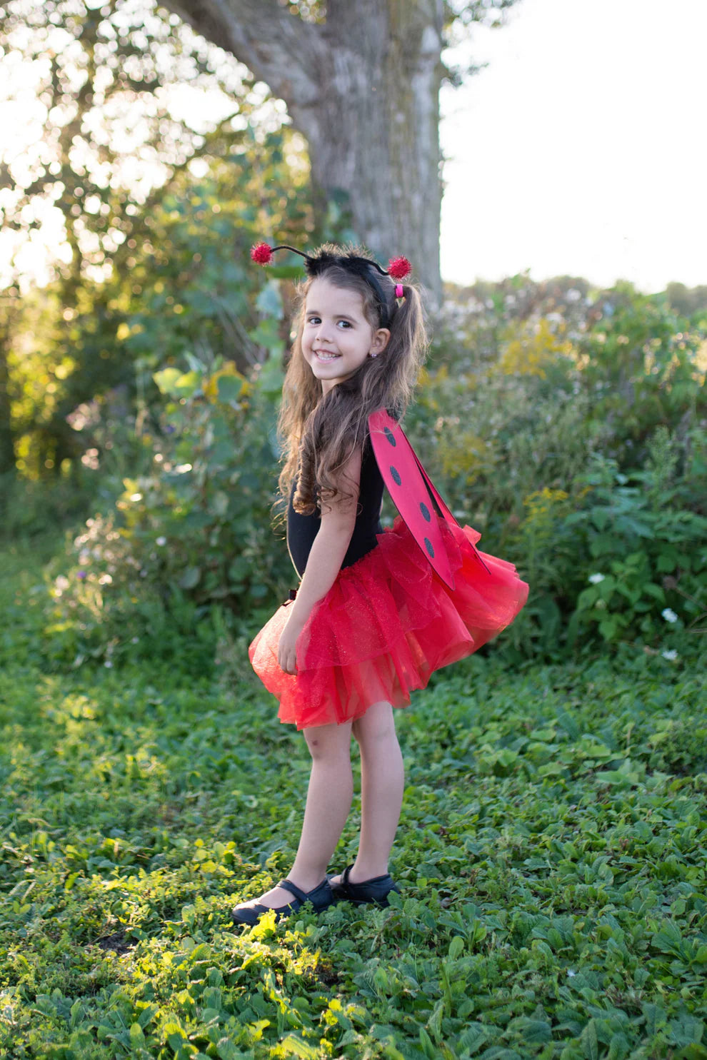 Ladybug Costume