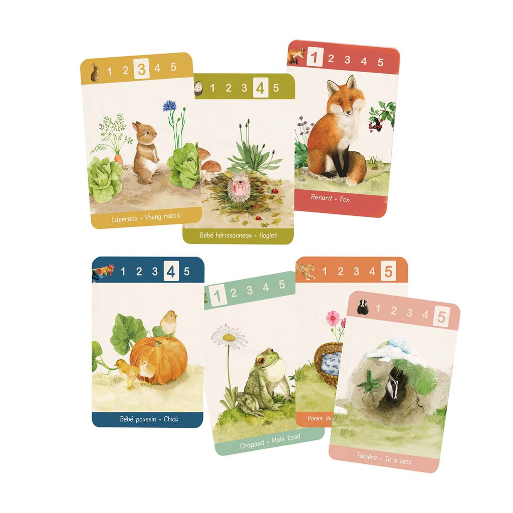 7 Familles (Happy Families) Card Game