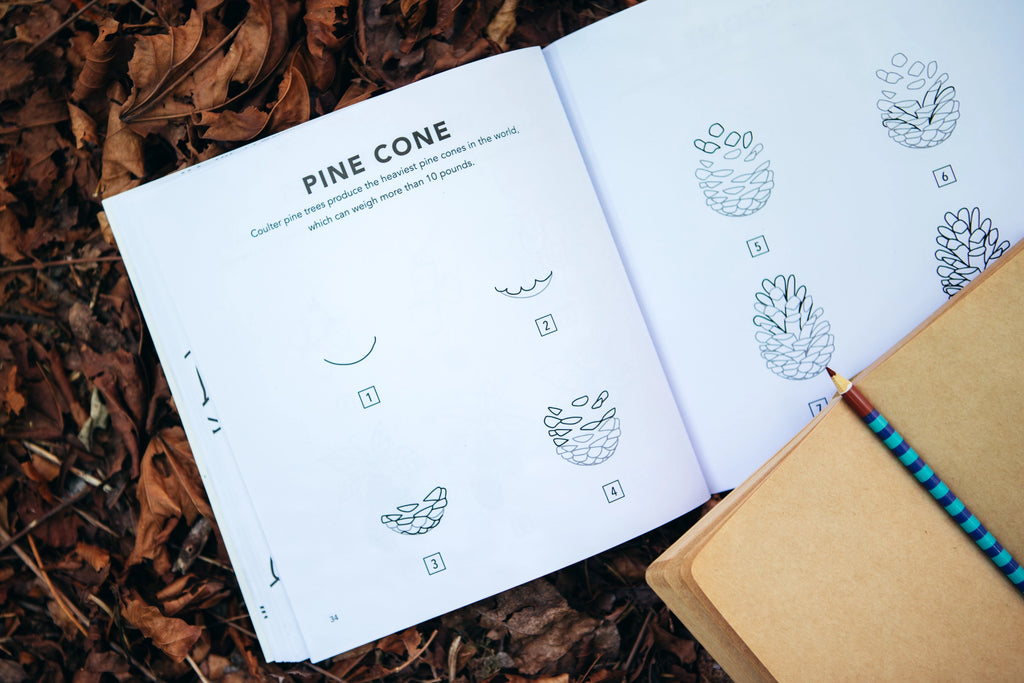 How to Draw Fall Things Colouring Book