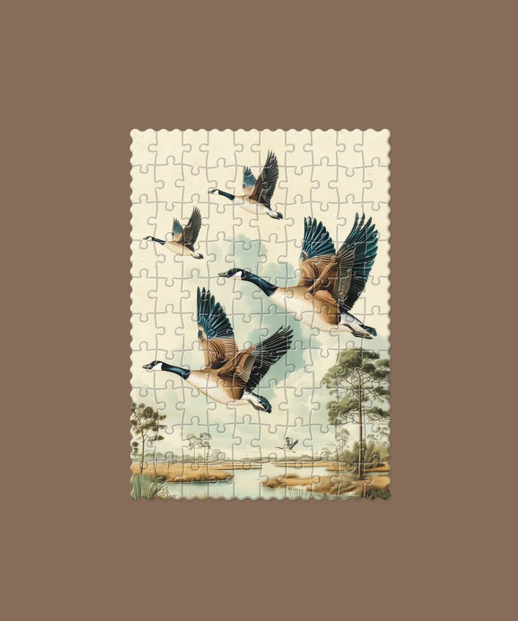 Canadian Geese Puzzle
