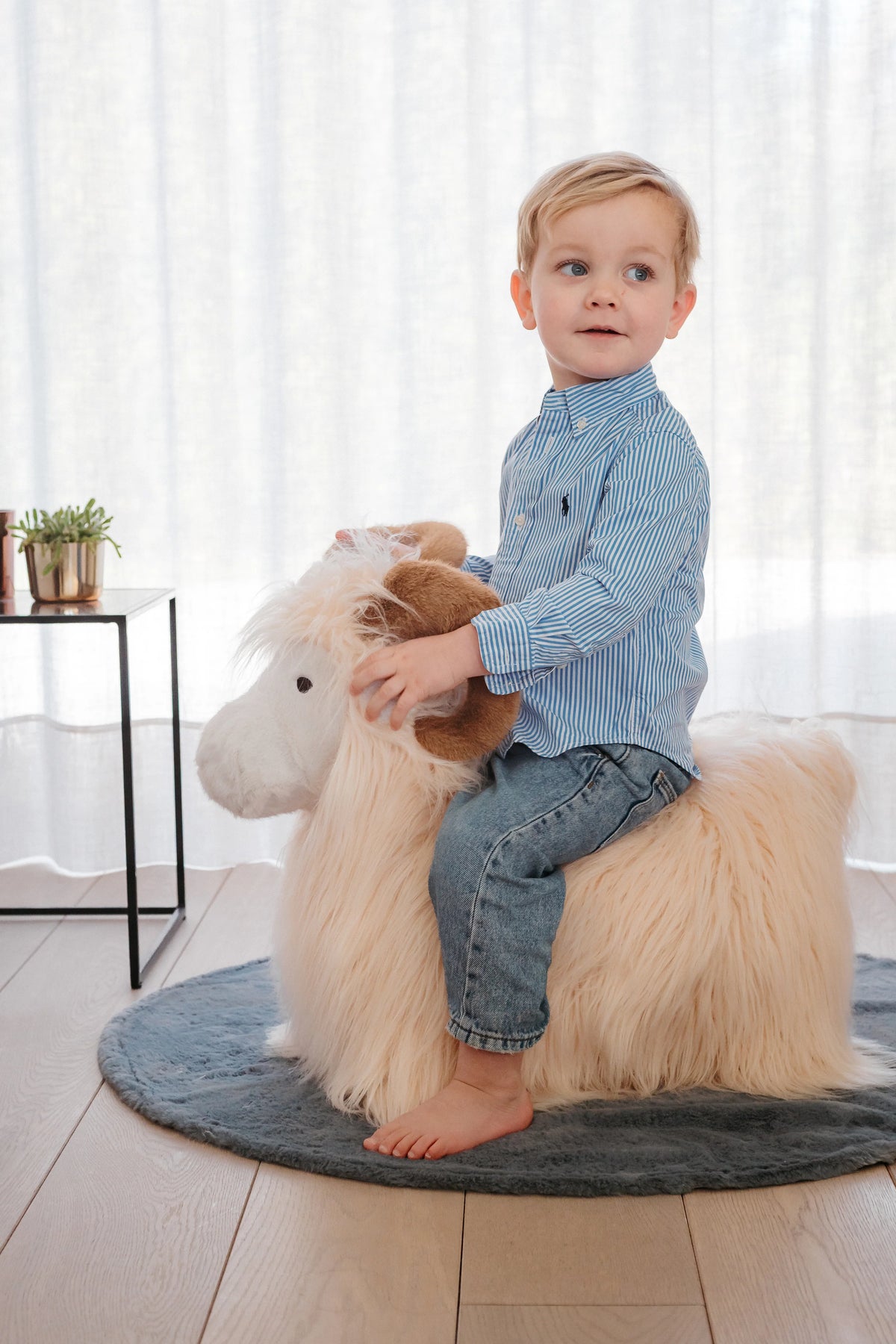 Soft Bouncy Ram (Yak)