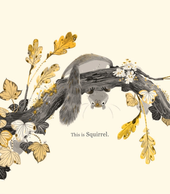 Squirrel and Bird