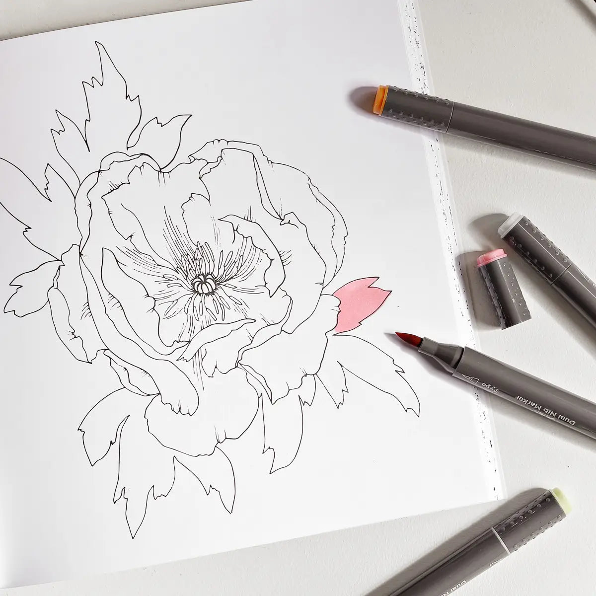 The Plant Lady Colouring Book