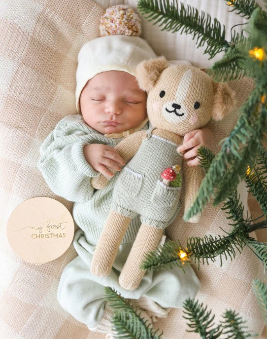 Theo the Golden Puppy