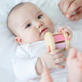 Wooden Roller Baby Toy